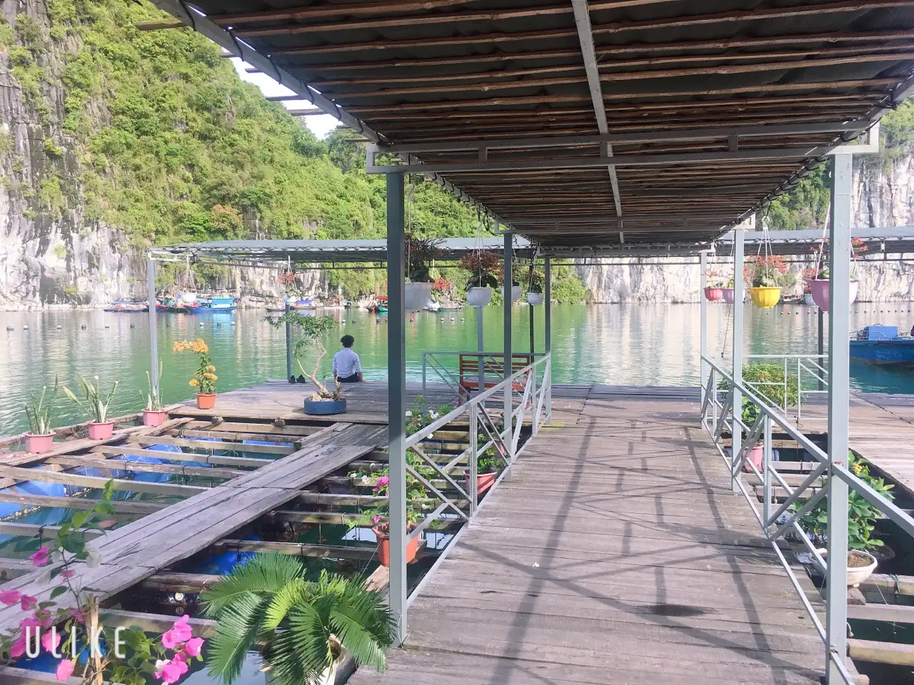 Góc nhìn từ bè nổi ra cụm nhà bè và thuyền của làng chài Vũng Viêng phía xa